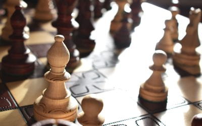 Understanding transformative effects of AI on the international chess community